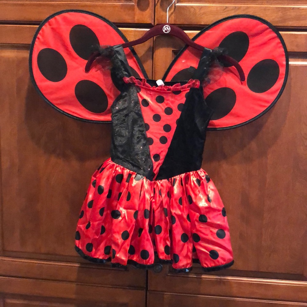 Butterfly costume
